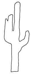 outline of saguaro