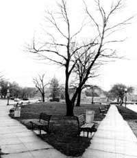 park benches